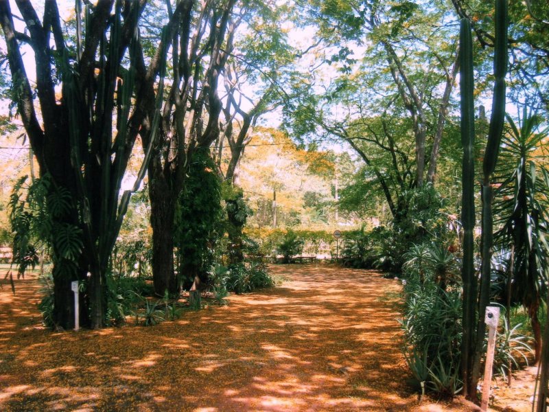Chácara à venda Jardim Pedroso com 5m² e 5 quartos por R$ 3.000.000 - 1288402854-031.JPG