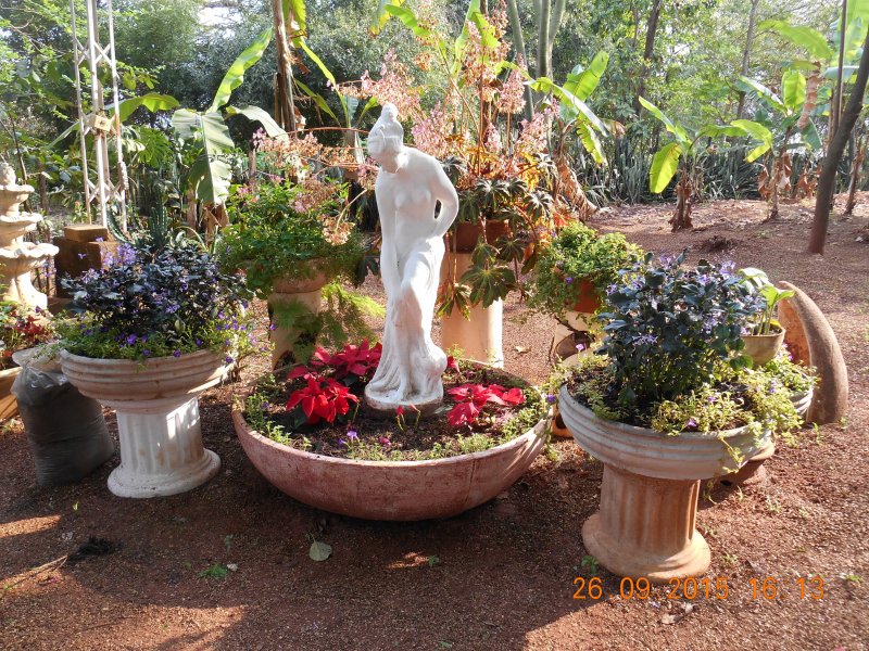 Chácara à venda Jardim Pedroso com 5m² e 5 quartos por R$ 3.000.000 - 1340398390-dscn2970.JPG