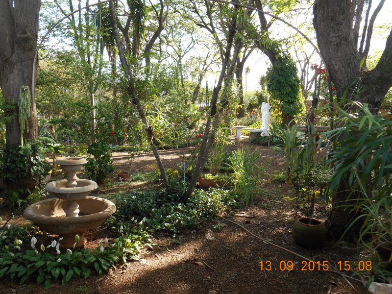 Chácara à venda Jardim Pedroso com 5m² e 5 quartos por R$ 3.000.000 - 1354705160-dscn2918.JPG