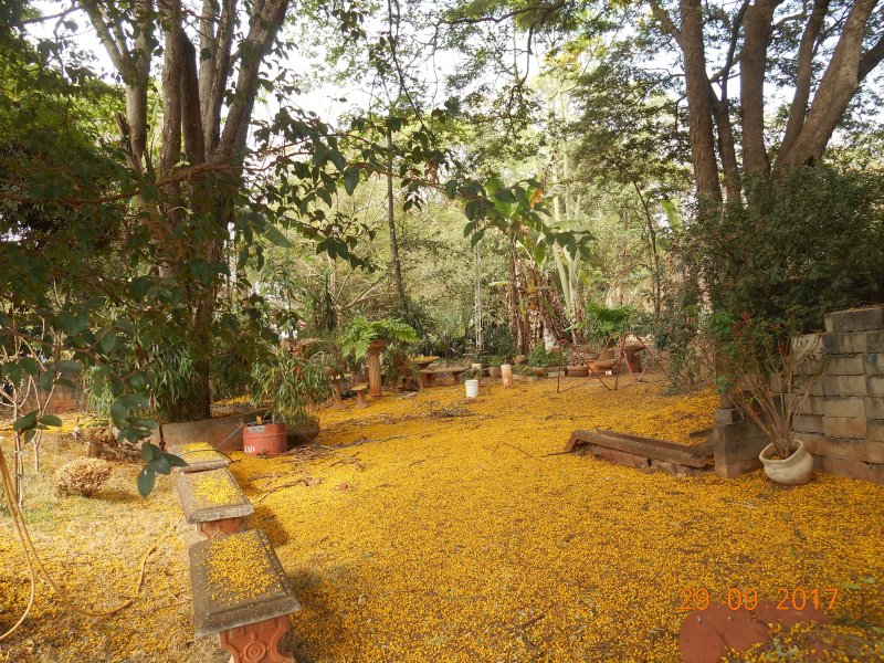Chácara à venda Jardim Pedroso com 5m² e 5 quartos por R$ 3.000.000 - 1362576866-dscn2301.JPG