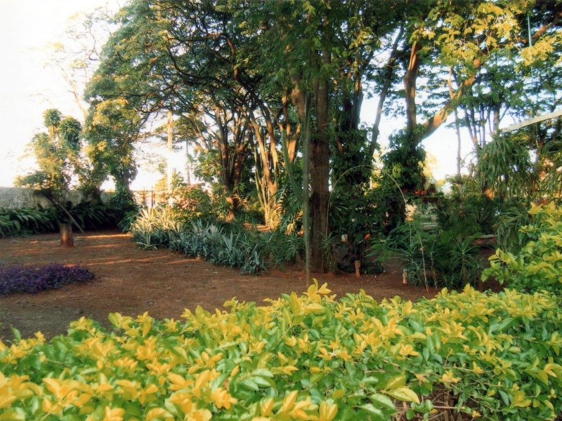 Chácara à venda Jardim Pedroso com 5m² e 5 quartos por R$ 3.000.000 - 1421262686-033.JPG