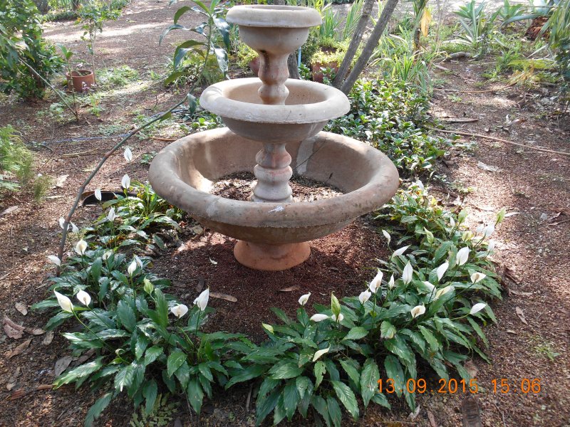 Chácara à venda Jardim Pedroso com 5m² e 5 quartos por R$ 3.000.000 - 1458045216-dscn2916.JPG