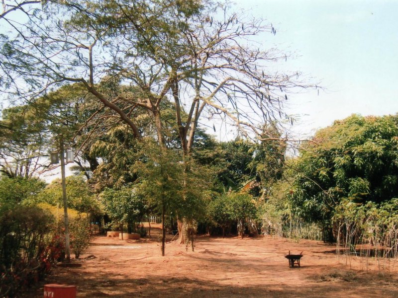 Chácara à venda Jardim Pedroso com 5m² e 5 quartos por R$ 3.000.000 - 150144346-005.JPG