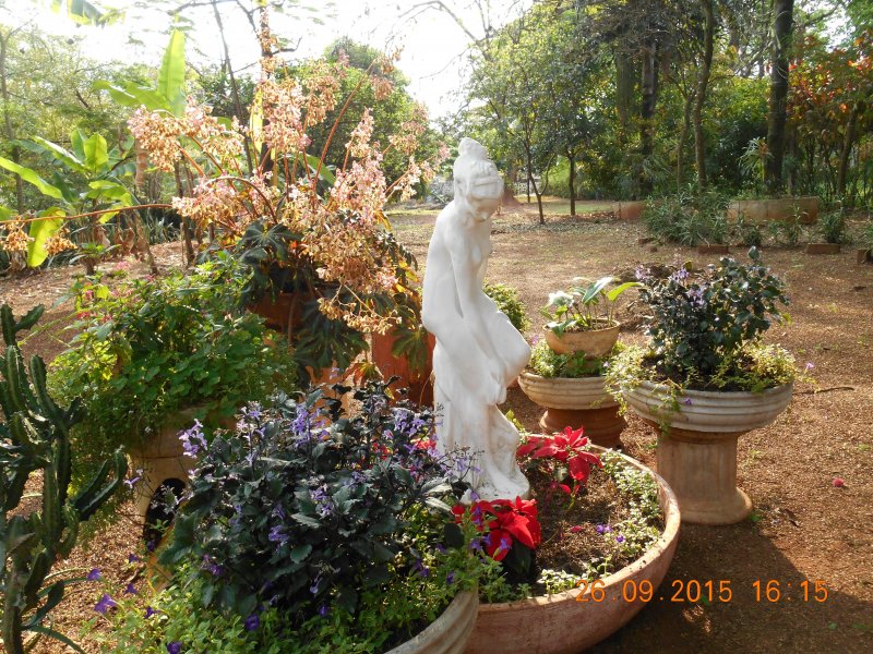 Chácara à venda Jardim Pedroso com 5m² e 5 quartos por R$ 3.000.000 - 1519841987-dscn2976.JPG