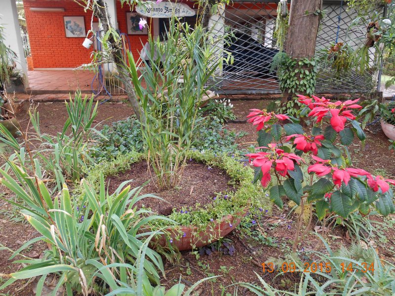 Chácara à venda Jardim Pedroso com 5m² e 5 quartos por R$ 3.000.000 - 1519917901-dscn2876.JPG