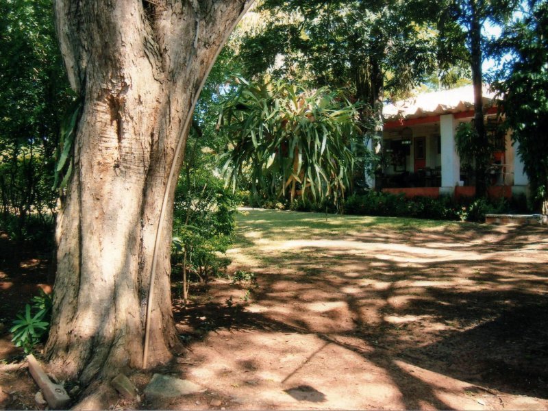 Chácara à venda Jardim Pedroso com 5m² e 5 quartos por R$ 3.000.000 - 1557761086-058.JPG