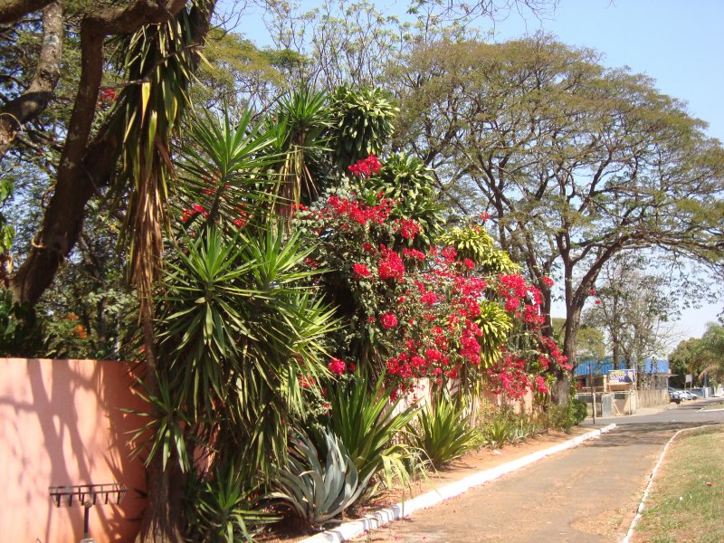 Chácara à venda Jardim Pedroso com 5m² e 5 quartos por R$ 3.000.000 - 1577861365-dsc09039.JPG