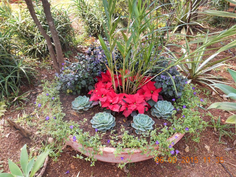 Chácara à venda Jardim Pedroso com 5m² e 5 quartos por R$ 3.000.000 - 1584954980-dscn2845.JPG