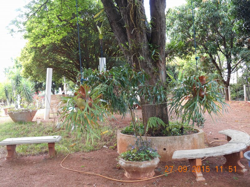 Chácara à venda Jardim Pedroso com 5m² e 5 quartos por R$ 3.000.000 - 1609678163-dscn3070.JPG