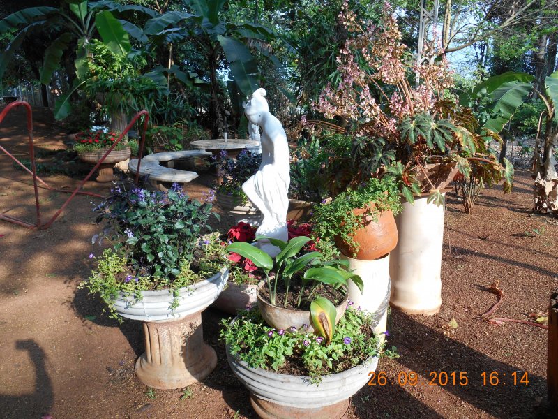 Chácara à venda Jardim Pedroso com 5m² e 5 quartos por R$ 3.000.000 - 1624384332-dscn2973.JPG