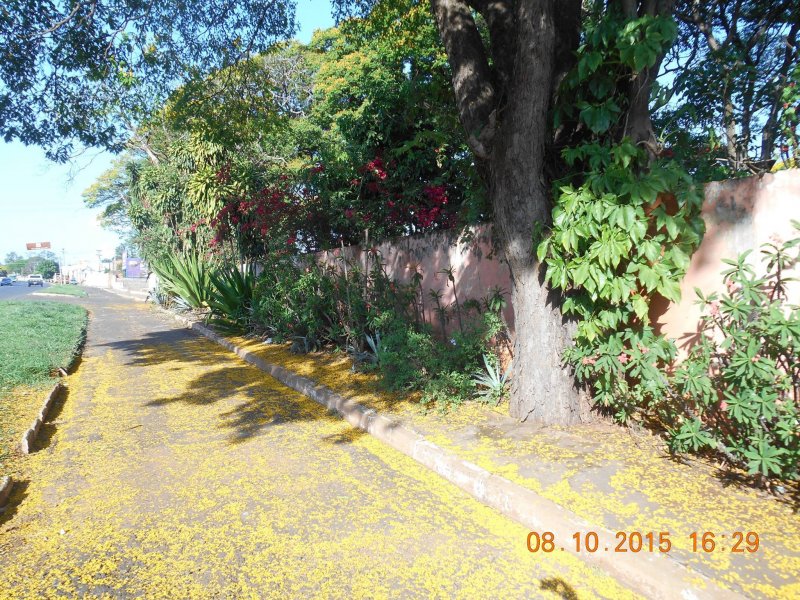 Chácara à venda Jardim Pedroso com 5m² e 5 quartos por R$ 3.000.000 - 1630960406-12095289-10207096107656410-5758505409297015925-o.jpg