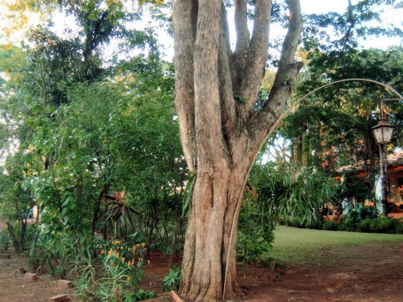 Chácara à venda Jardim Pedroso com 5m² e 5 quartos por R$ 3.000.000 - 1699495217-059.JPG