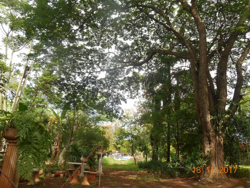 Chácara à venda Jardim Pedroso com 5m² e 5 quartos por R$ 3.000.000 - 1702305991-dscn3216.JPG