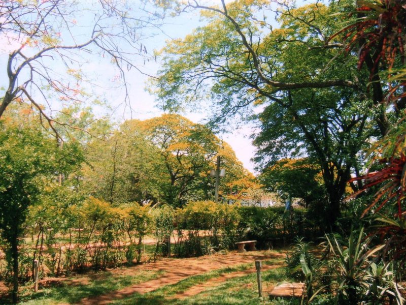 Chácara à venda Jardim Pedroso com 5m² e 5 quartos por R$ 3.000.000 - 1730467790-027.JPG