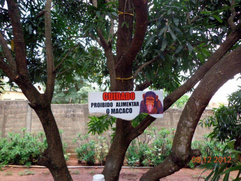 Chácara à venda Jardim Pedroso com 5m² e 5 quartos por R$ 3.000.000 - 179499640-12002921-10206963665865448-822879326207051373-n.jpg