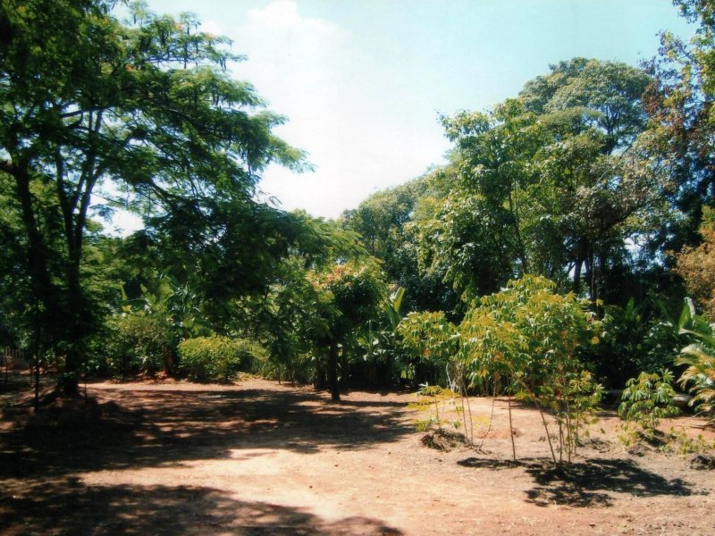 Chácara à venda Jardim Pedroso com 5m² e 5 quartos por R$ 3.000.000 - 18243891-004.JPG