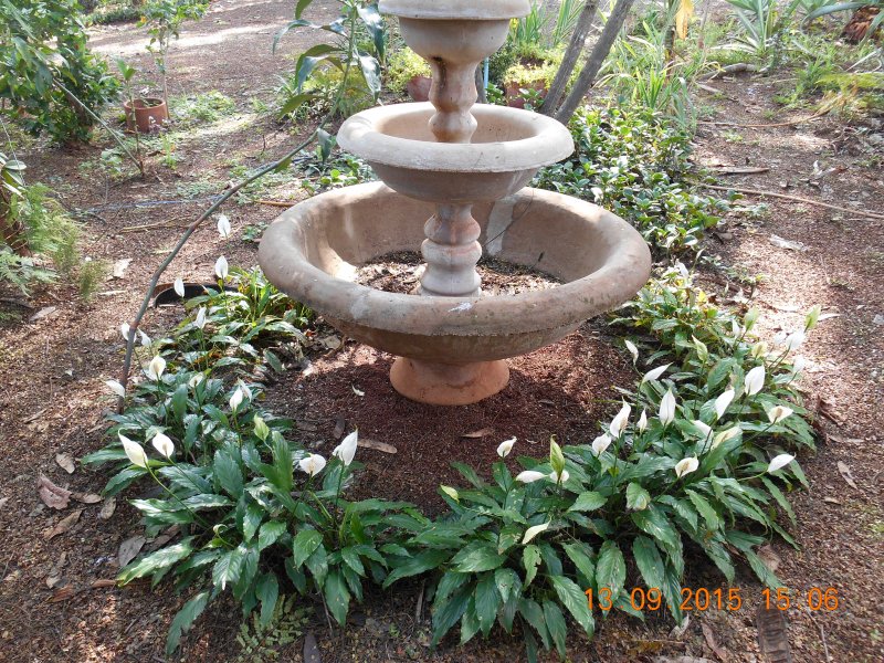 Chácara à venda Jardim Pedroso com 5m² e 5 quartos por R$ 3.000.000 - 1976703943-dscn2917.JPG