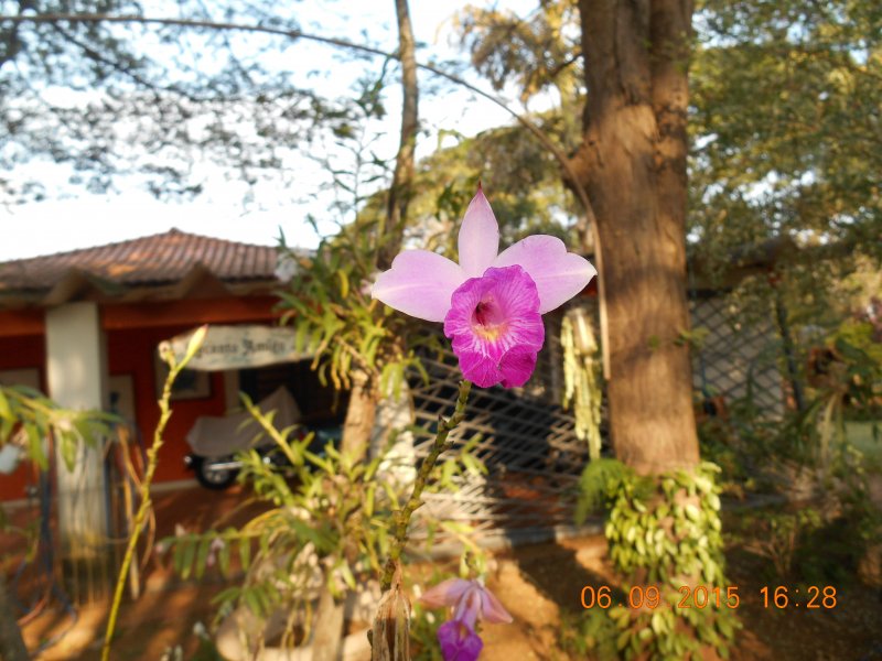 Chácara à venda Jardim Pedroso com 5m² e 5 quartos por R$ 3.000.000 - 1995013889-dscn2854.JPG