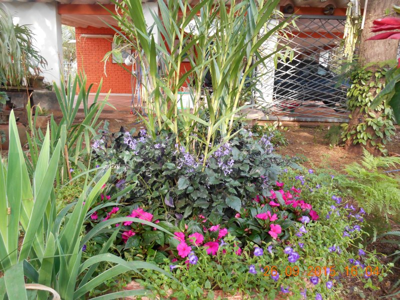 Chácara à venda Jardim Pedroso com 5m² e 5 quartos por R$ 3.000.000 - 2047278071-dscn2967.JPG