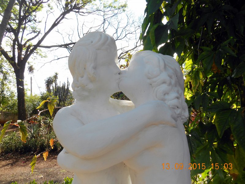 Chácara à venda Jardim Pedroso com 5m² e 5 quartos por R$ 3.000.000 - 2049871644-dscn2902.JPG