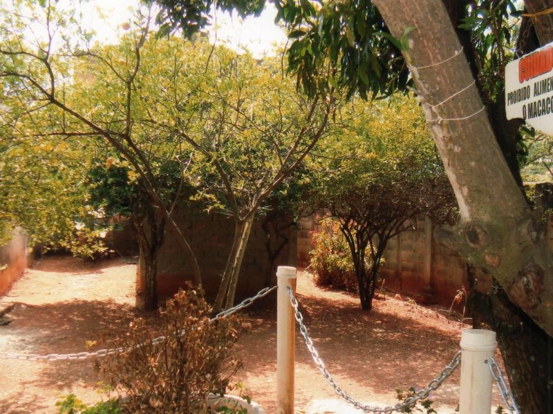 Chácara à venda Jardim Pedroso com 5m² e 5 quartos por R$ 3.000.000 - 2098798071-016.JPG