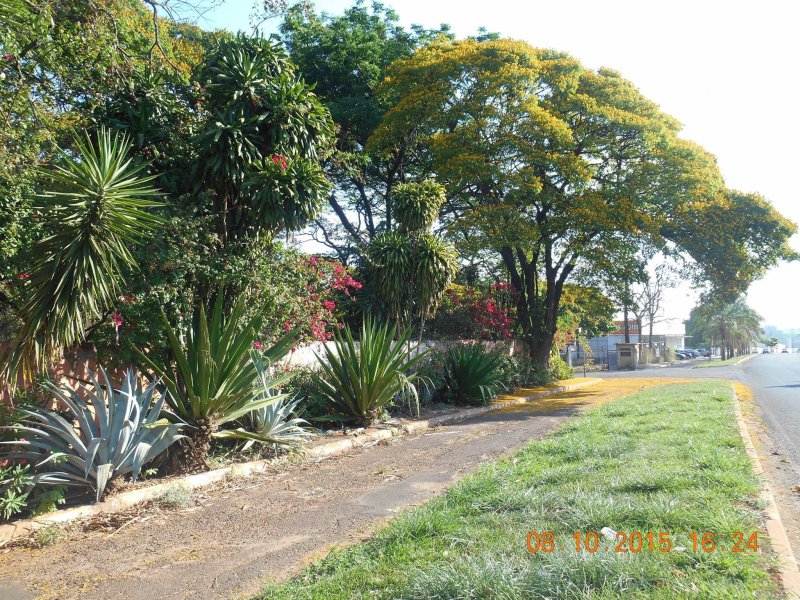 Chácara à venda Jardim Pedroso com 5m² e 5 quartos por R$ 3.000.000 - 273610418-12068527-10207096203178798-2949577479765492149-o.jpg