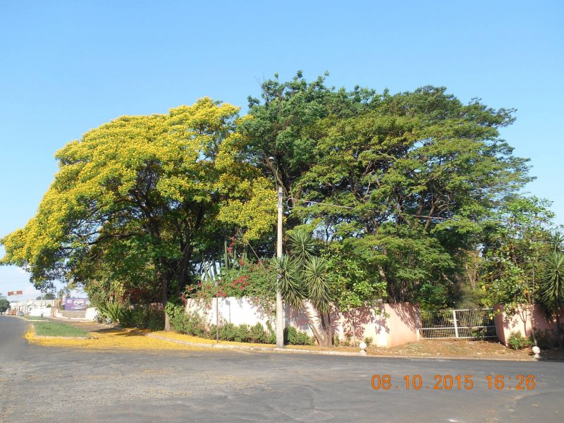 Chácara à venda Jardim Pedroso com 5m² e 5 quartos por R$ 3.000.000 - 301033193-12091434-10207096102776288-8578158023670362399-o.jpg