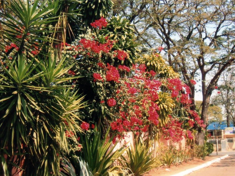 Chácara à venda Jardim Pedroso com 5m² e 5 quartos por R$ 3.000.000 - 306124570-023.JPG