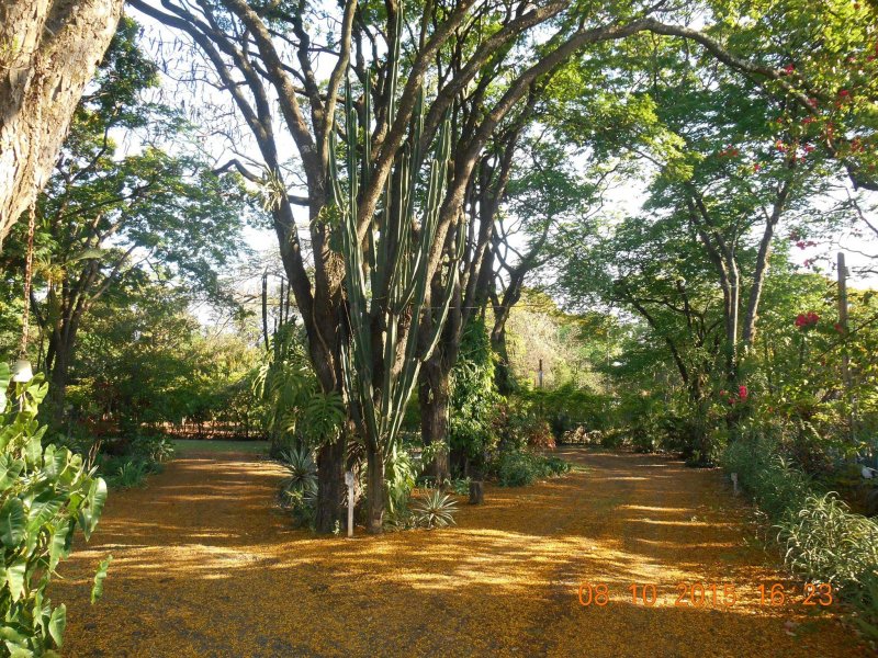 Chácara à venda Jardim Pedroso com 5m² e 5 quartos por R$ 3.000.000 - 315522588-12095064-10207096238499681-8678544500439976000-o.jpg