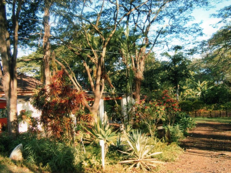 Chácara à venda Jardim Pedroso com 5m² e 5 quartos por R$ 3.000.000 - 323133259-024.JPG
