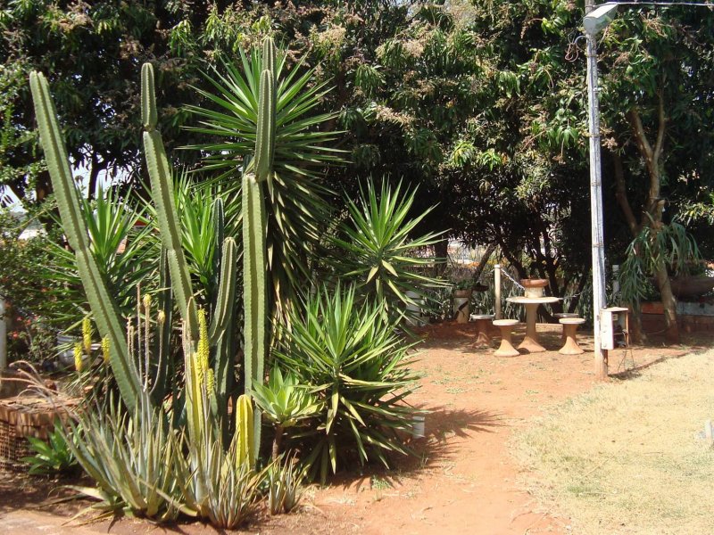 Chácara à venda Jardim Pedroso com 5m² e 5 quartos por R$ 3.000.000 - 329160320-1275793-10201548927380370-1355691221-o.jpg