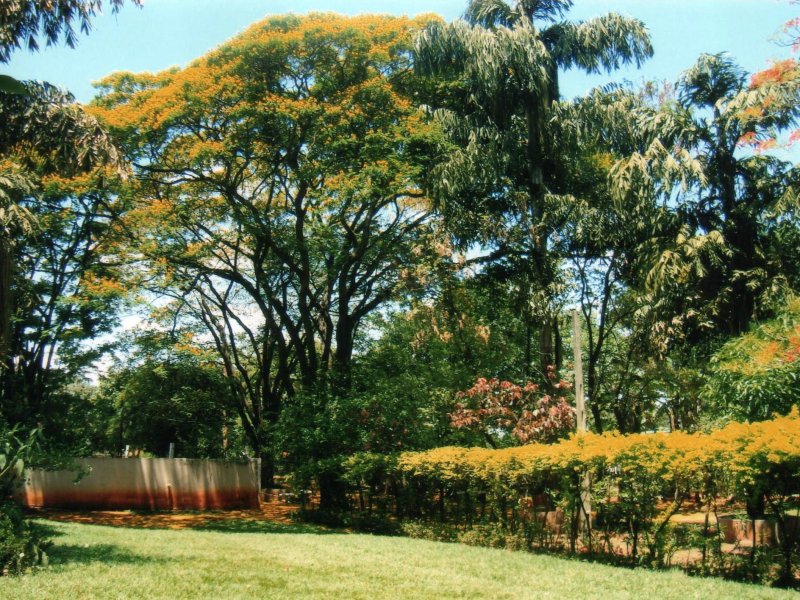 Chácara à venda Jardim Pedroso com 5m² e 5 quartos por R$ 3.000.000 - 329899457-041.JPG