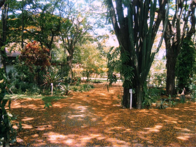 Chácara à venda Jardim Pedroso com 5m² e 5 quartos por R$ 3.000.000 - 3507266-028.JPG