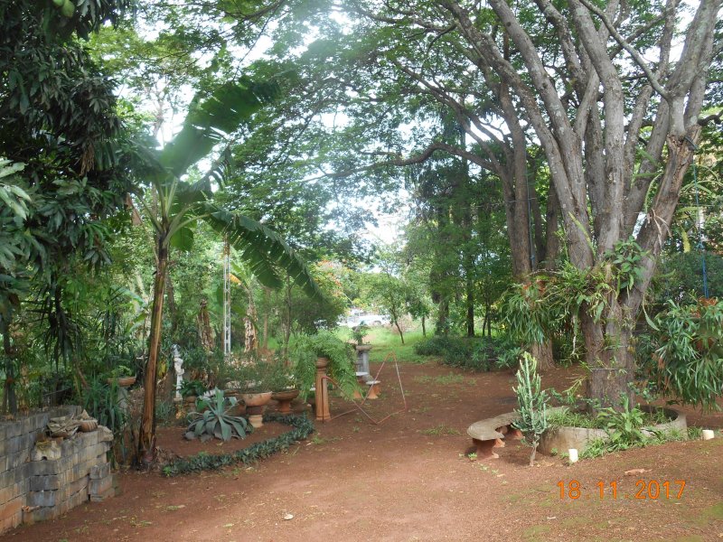 Chácara à venda Jardim Pedroso com 5m² e 5 quartos por R$ 3.000.000 - 455969762-dscn3214.JPG