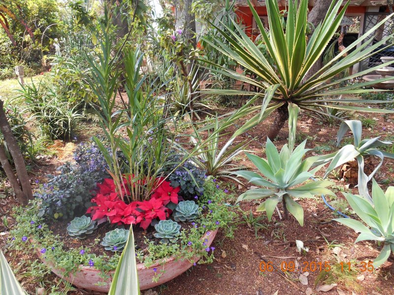Chácara à venda Jardim Pedroso com 5m² e 5 quartos por R$ 3.000.000 - 482194120-11782375-10206892839654837-1664147166285362970-o.jpg