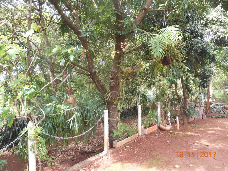 Chácara à venda Jardim Pedroso com 5m² e 5 quartos por R$ 3.000.000 - 487902188-dscn3211.JPG