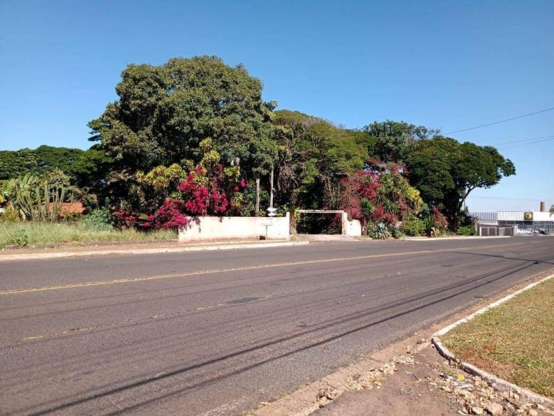 Chácara à venda Jardim Pedroso com 5m² e 5 quartos por R$ 3.000.000 - 52461986-148631246-274883544040205-7929682238494324056-o.jpg