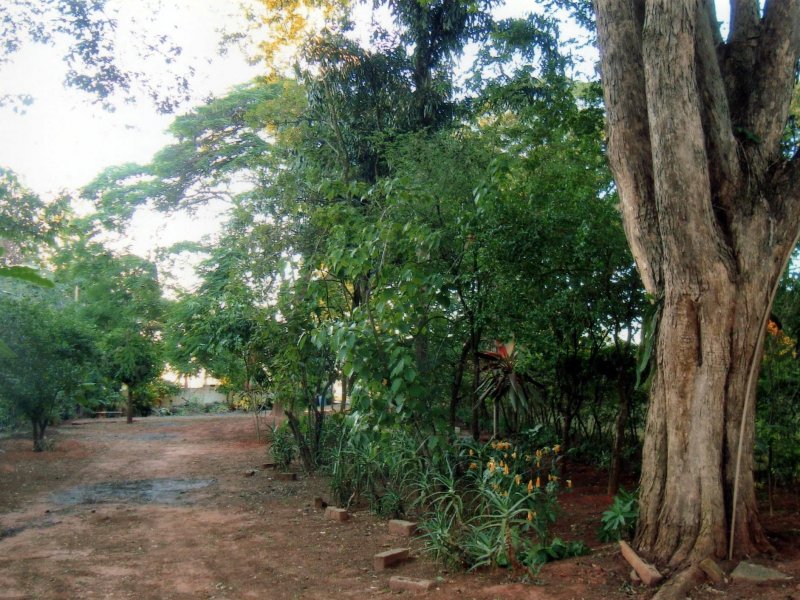 Chácara à venda Jardim Pedroso com 5m² e 5 quartos por R$ 3.000.000 - 540670112-061.JPG
