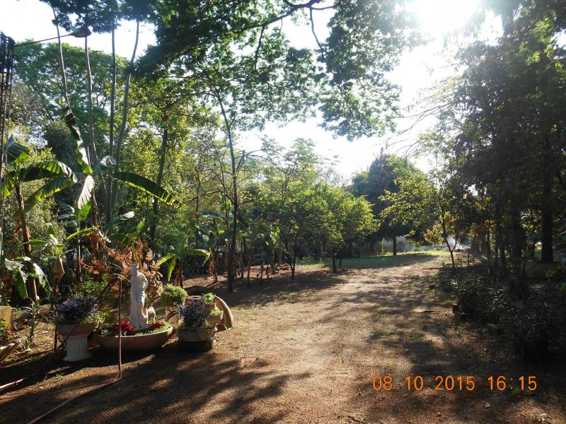 Chácara à venda Jardim Pedroso com 5m² e 5 quartos por R$ 3.000.000 - 61855123-12109965-10207096242299776-4152855014111038985-o.jpg
