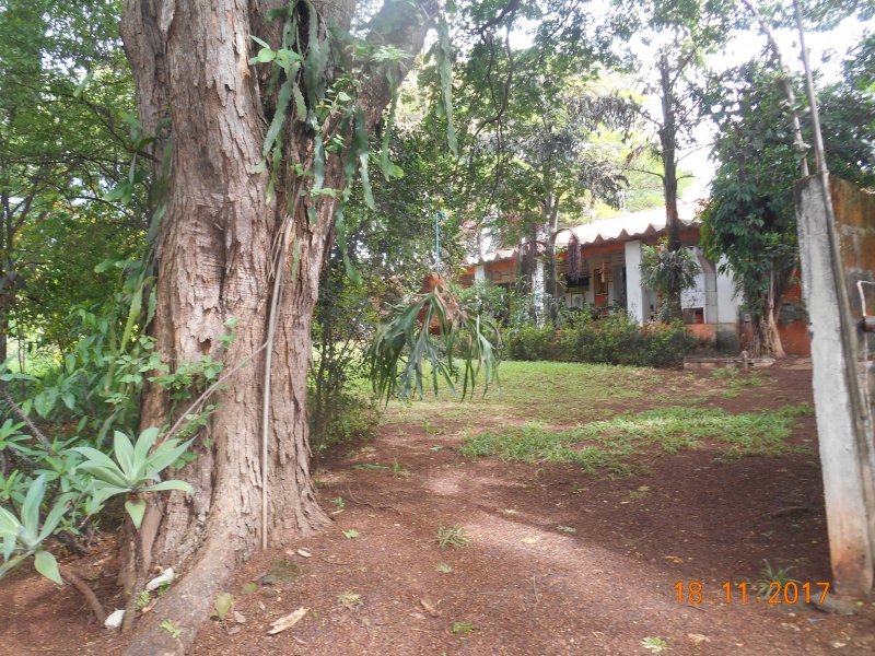 Chácara à venda Jardim Pedroso com 5m² e 5 quartos por R$ 3.000.000 - 632192766-dscn3217.JPG