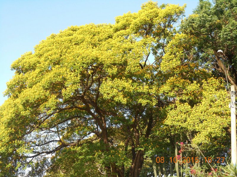 Chácara à venda Jardim Pedroso com 5m² e 5 quartos por R$ 3.000.000 - 709893606-12087762-10207096110216474-610288984421694807-o.jpg