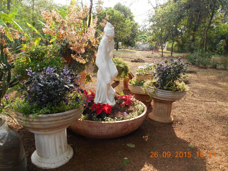 Chácara à venda Jardim Pedroso com 5m² e 5 quartos por R$ 3.000.000 - 728552197-dscn2974.JPG
