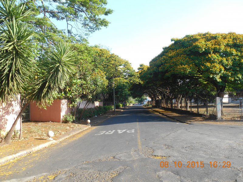 Chácara à venda Jardim Pedroso com 5m² e 5 quartos por R$ 3.000.000 - 762981522-dscn3297.JPG