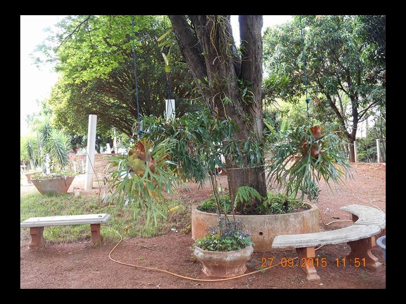Chácara à venda Jardim Pedroso com 5m² e 5 quartos por R$ 3.000.000 - 775324053-12029609-10207039392598569-3289282763178586896-o.jpg