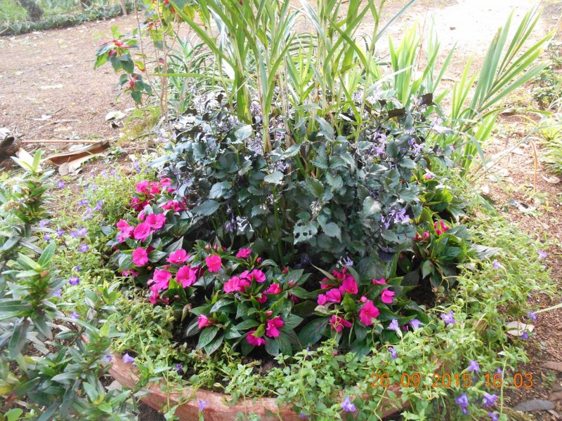 Chácara à venda Jardim Pedroso com 5m² e 5 quartos por R$ 3.000.000 - 788646349-12031499-10207036767572945-8093066117537467278-o.jpg