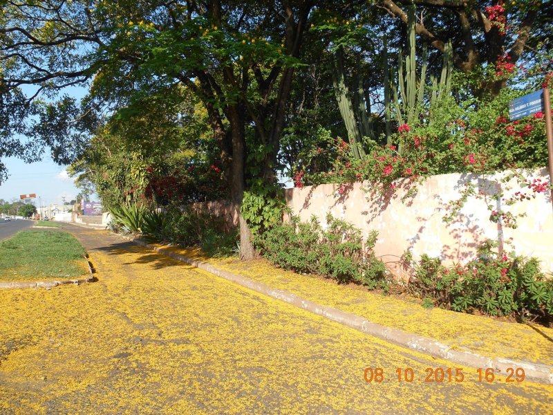 Chácara à venda Jardim Pedroso com 5m² e 5 quartos por R$ 3.000.000 - 879932740-12120061-10207096109736462-3554521834998993014-o.jpg