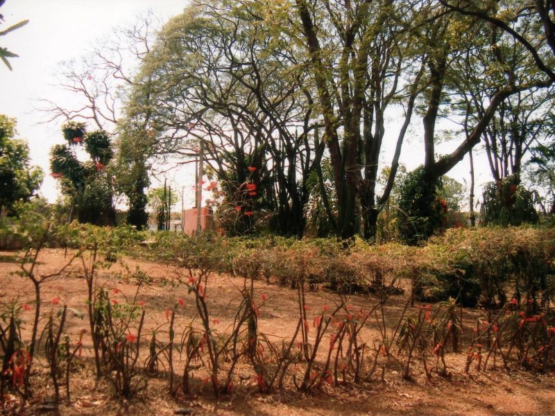 Chácara à venda Jardim Pedroso com 5m² e 5 quartos por R$ 3.000.000 - 882023940-030.JPG