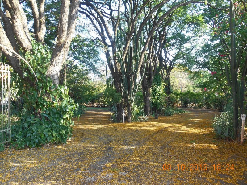 Chácara à venda Jardim Pedroso com 5m² e 5 quartos por R$ 3.000.000 - 897285570-12091369-10207096242019769-6510698709802593385-o.jpg
