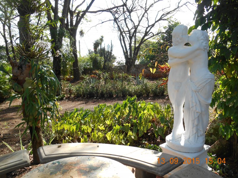 Chácara à venda Jardim Pedroso com 5m² e 5 quartos por R$ 3.000.000 - 922521752-dscn2909.JPG