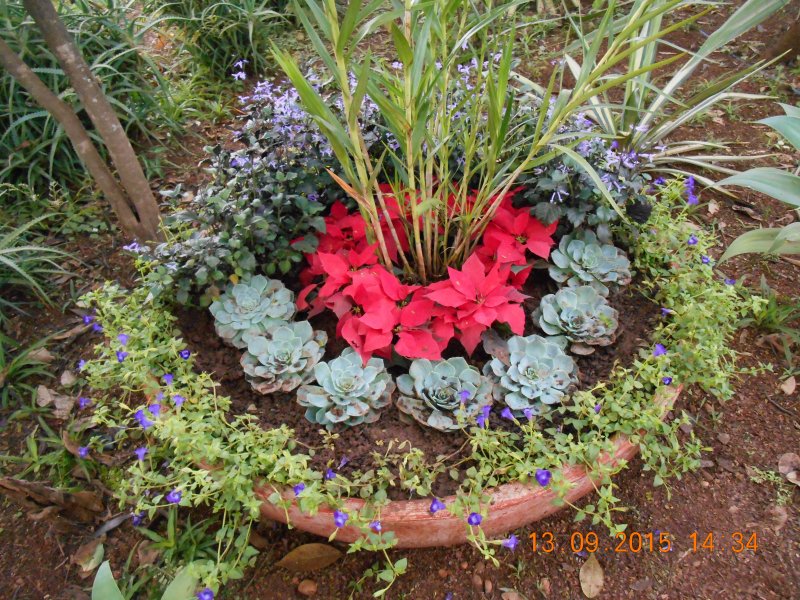 Chácara à venda Jardim Pedroso com 5m² e 5 quartos por R$ 3.000.000 - 944100046-dscn2875.JPG